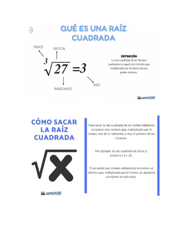 raiz | PDF