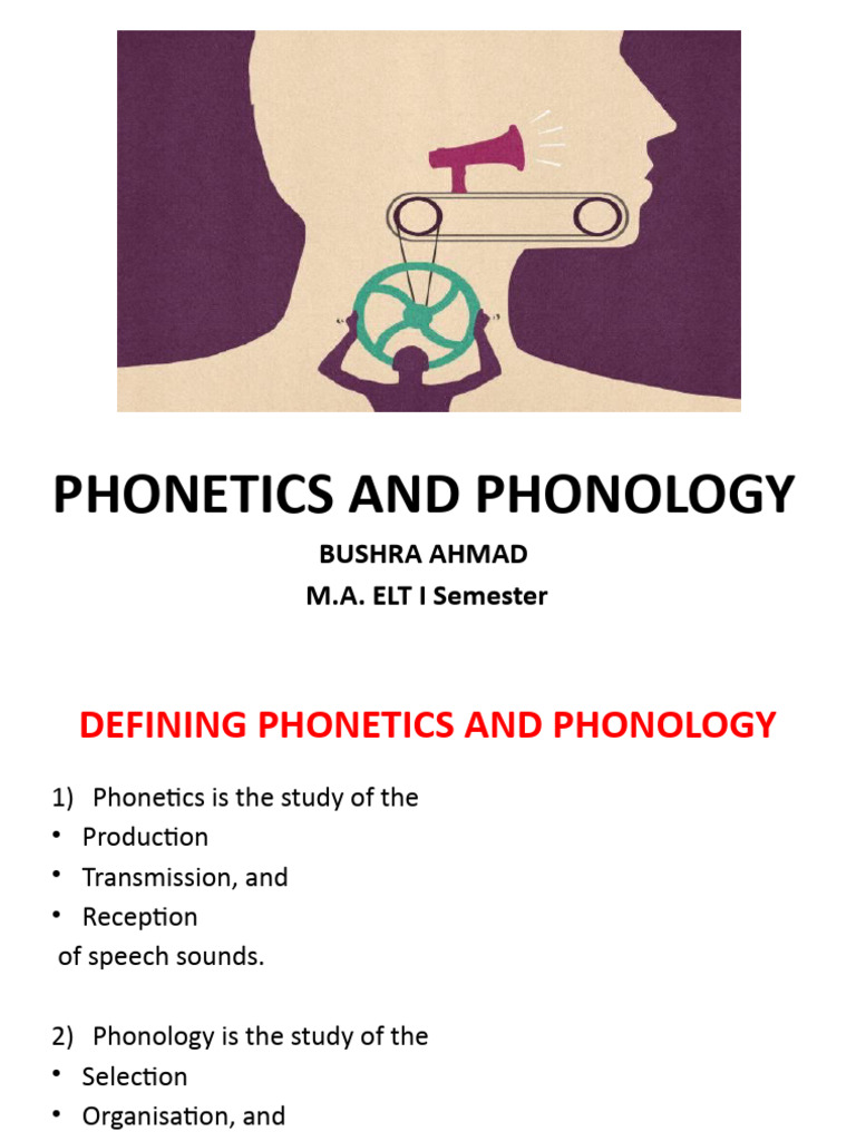 Relationship Between Phonetics and Phonology | PDF | Phonology | Phonetics