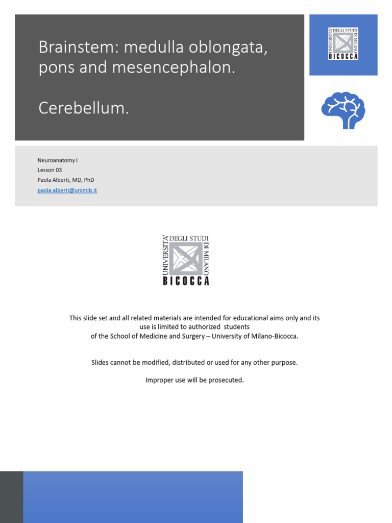 Neuroanatomy I_Lesson 04_Brain Stem and Cerebellum | PDF | Brainstem ...