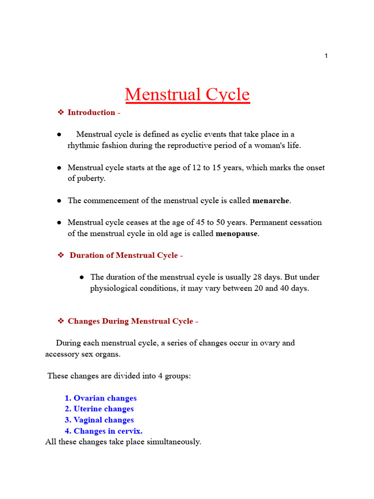 Menstrual Cycle Project | PDF | Menstrual Cycle | Sexual Anatomy