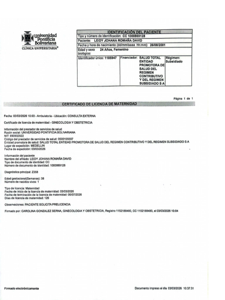 LICENCIA MATERNIDAD | PDF