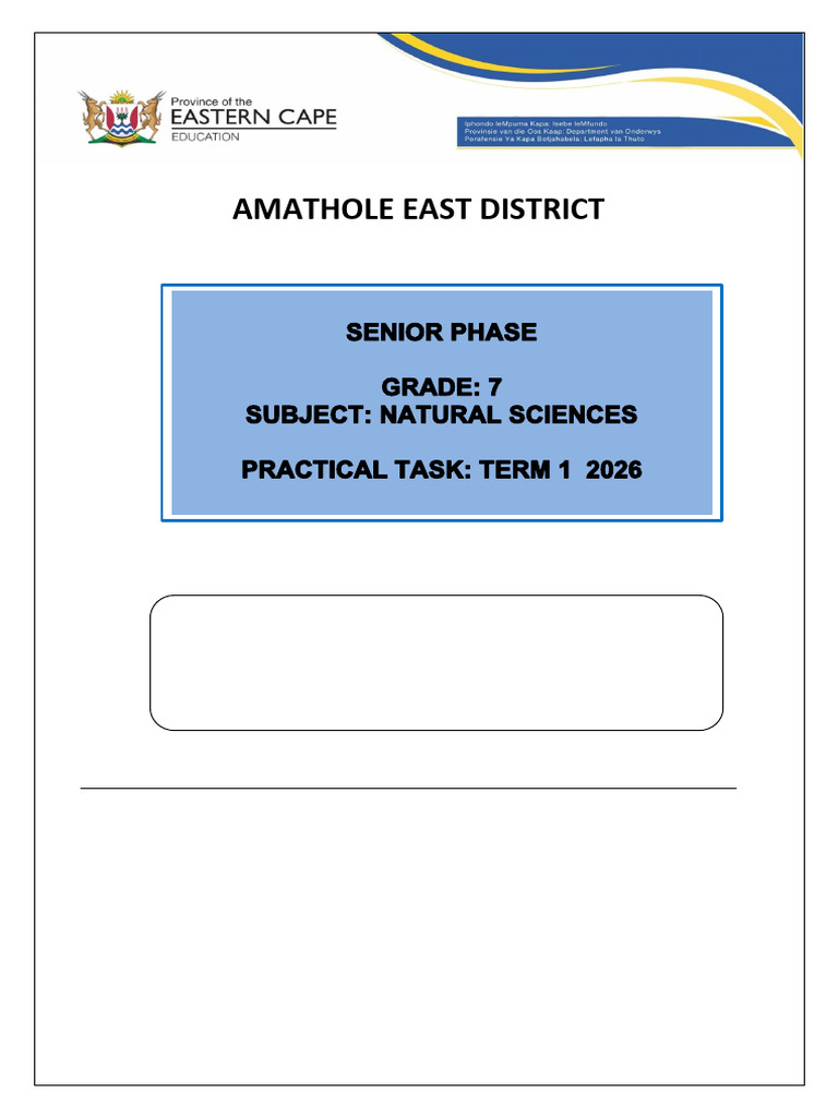 2026 Ns Grade 7 Practical Task Term 1 | PDF | Seed | Germination