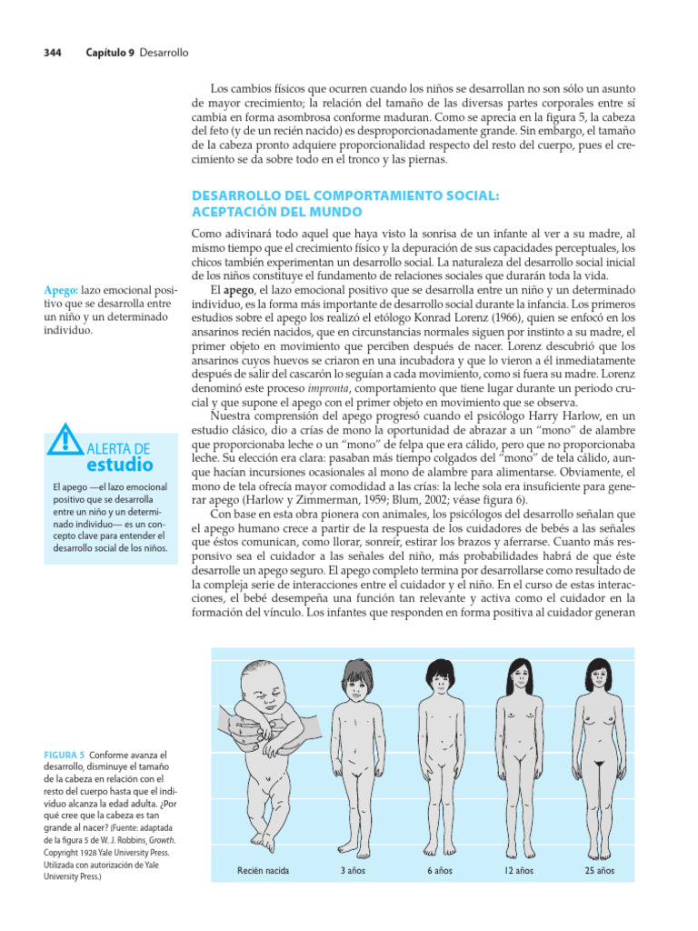 Desarrollo Emocional, Social en La Niñez | PDF | Teoría de apego ...