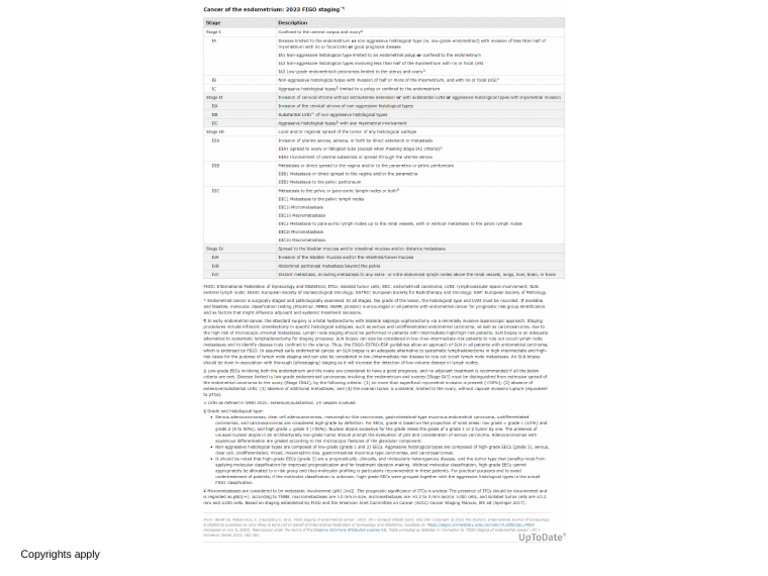 Cancer of the Endometrium 2023 FIGO Staging | PDF