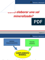 Como elaborar una sal mineralizada nutri.pptx