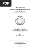 Download Laporan Magang Teh by Lichaa Lisa SN100865034 doc pdf