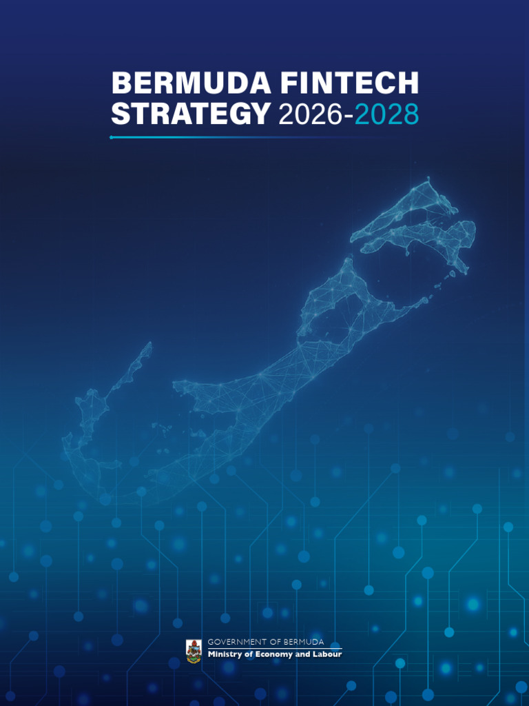 Fintech Strategy 2026-2028 Report FINAL | PDF | Financial Technology ...