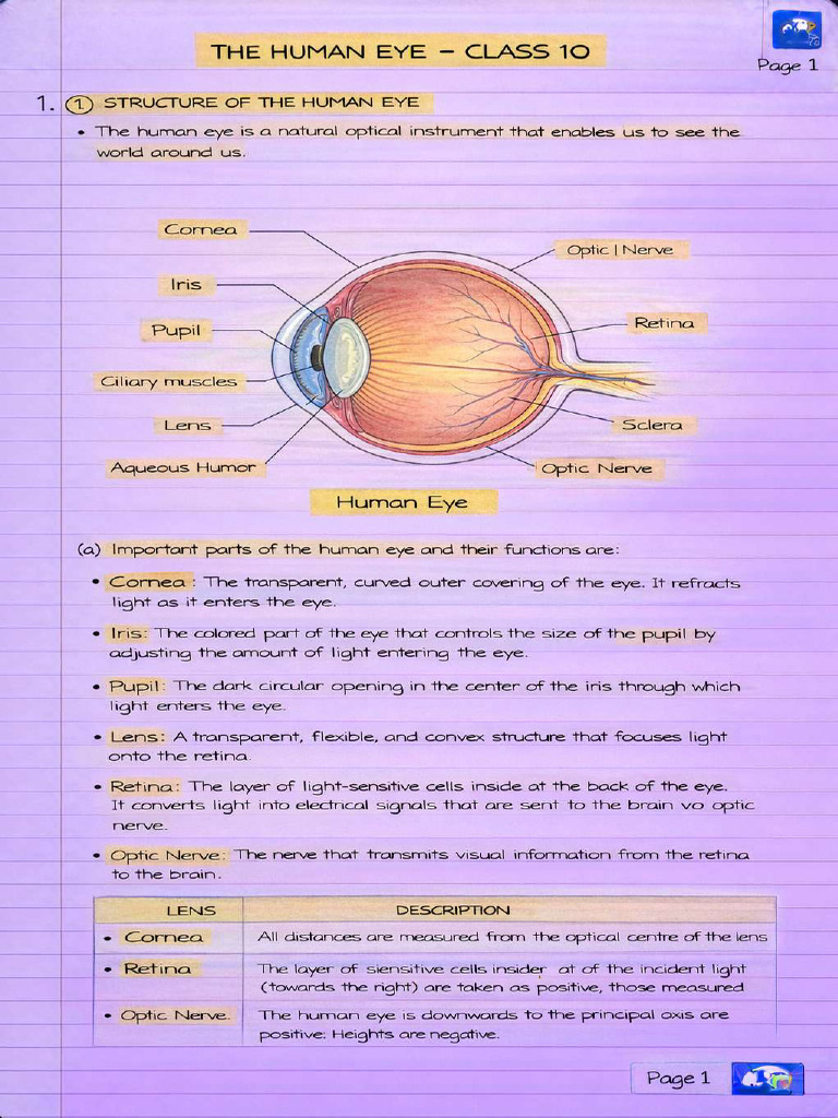 Human Eye & Colourful World II Class 10 Chapter 10 | PDF
