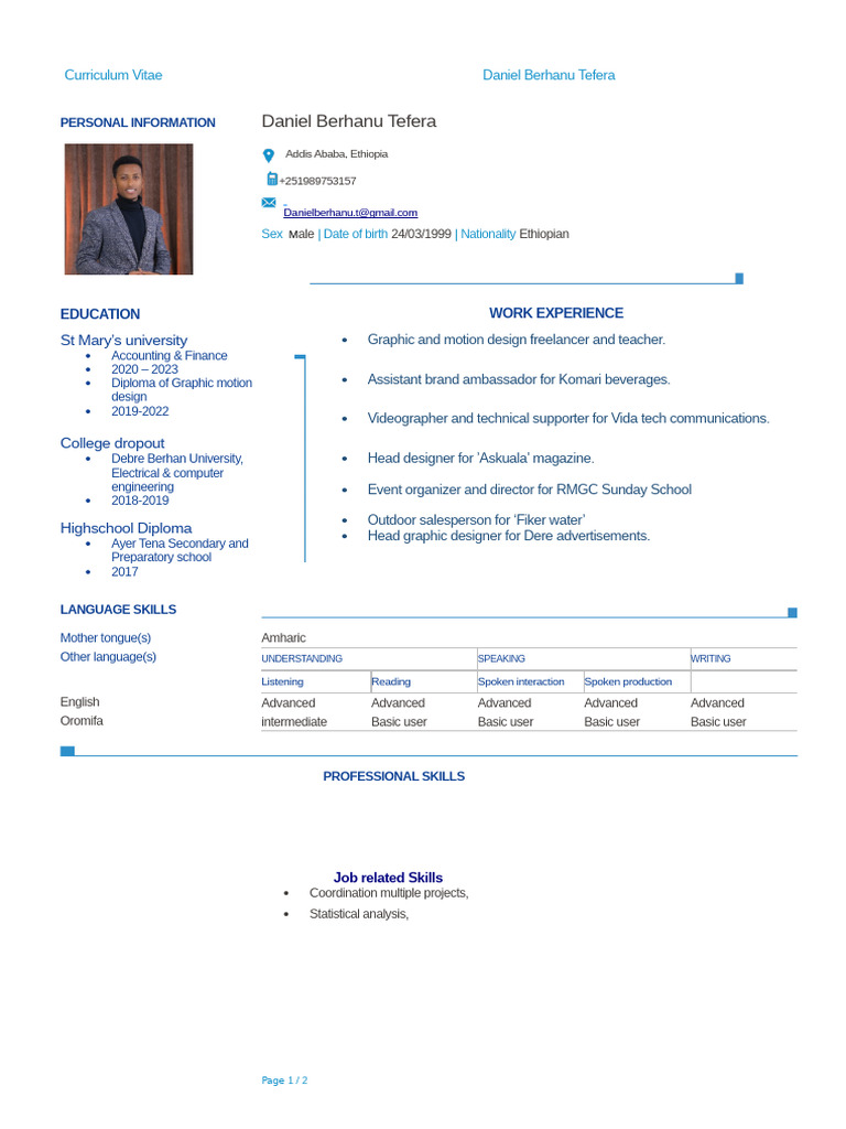 Demo CV of An Imaginary Man CV | PDF