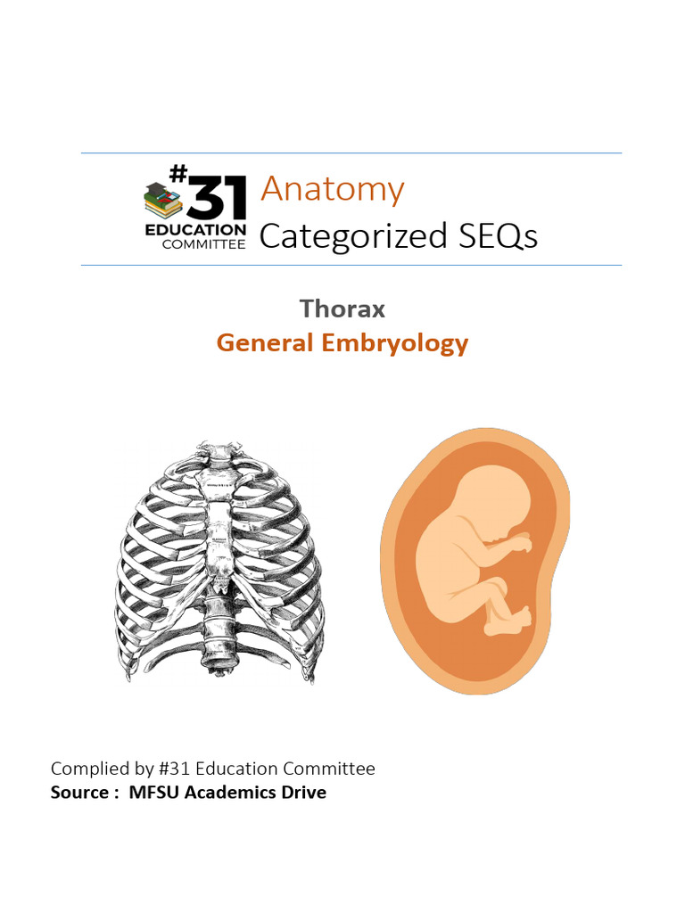 Thorax and Embryo SEQs | PDF | Thorax | Lung