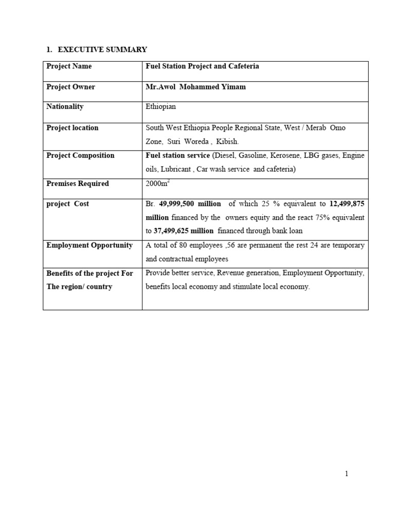 Awol Mohammed Fuel Project Final Final | PDF | Tourism | Expense