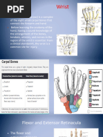 Flexor Retinaculum: Anatomy & CTS | PDF