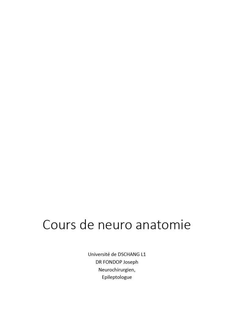 Anatomie Des Plexus Em1 | PDF | Neuroanatomie | Anatomie humaine