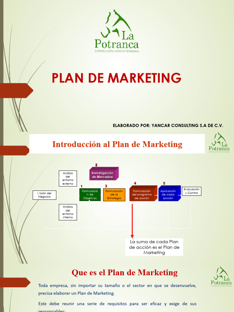 Plan de Marketing | PDF | Marketing | Producto (Negocio)