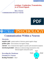 1.2. Neurophysiology-Conduction, Transmission, and The Integration of Neural Signals (Slide Presentation)