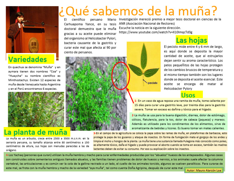 La Muña Imprimir | PDF
