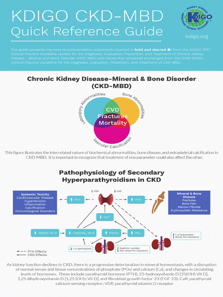 CKD - MBD Guidelines | PDF