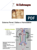 (2)sistemarenal,dialiseehemodialise