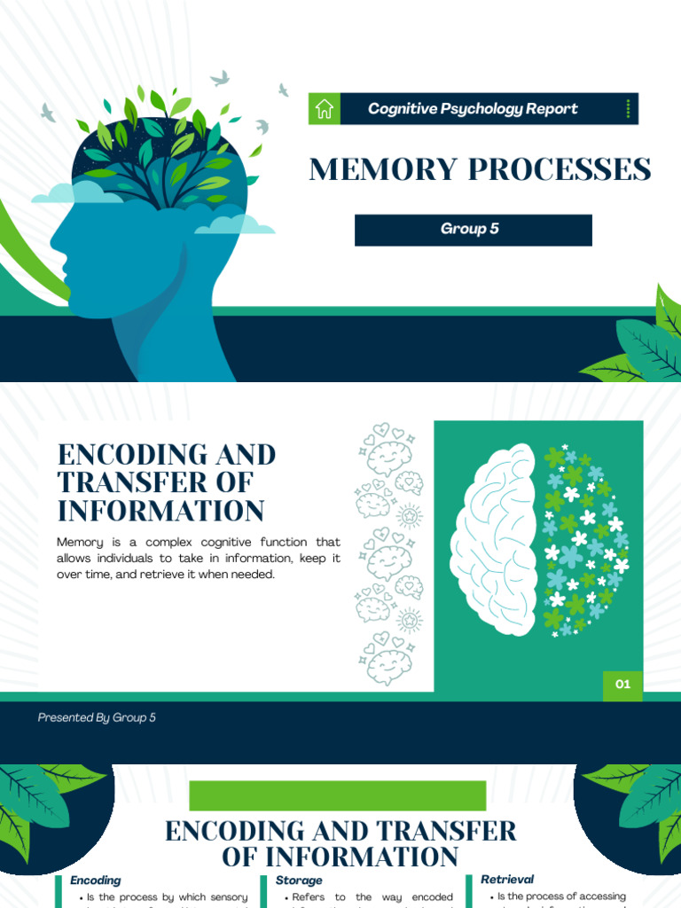 Group 5 - Memory Processes | PDF | Recall (Memory) | Memory