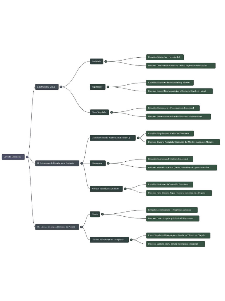 NotebookLM Mind Map | PDF
