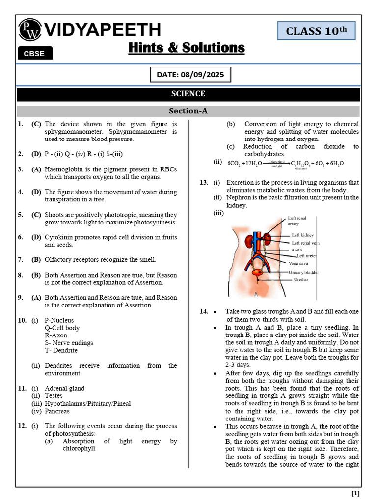 Science Hints & Solutions Half Yearly Mock Test CBSE Class 10th | PDF ...