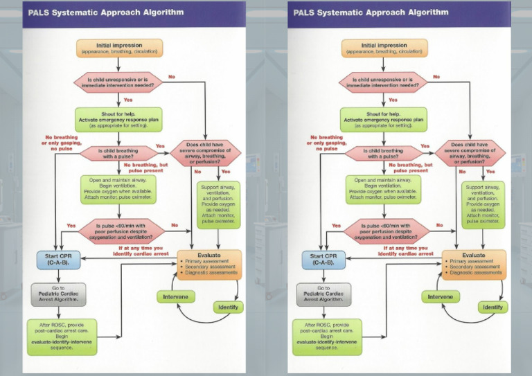 PICU Booklet Split 30 | PDF