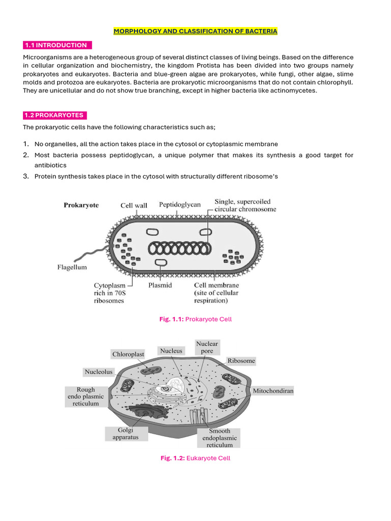 PCU 417 - Chapter 02 (Bacteria | PDF | Cell (Biology) | Bacteria