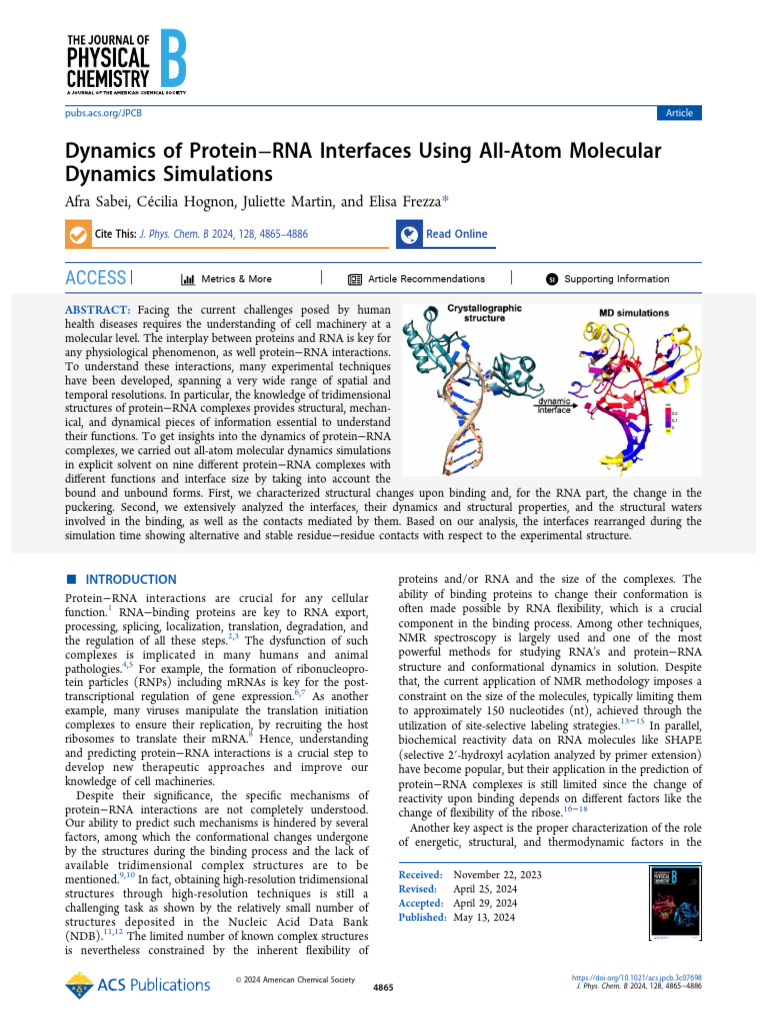 Dynamics of Protein Rna Interfaces Using All Atom Molecular Dynamics ...