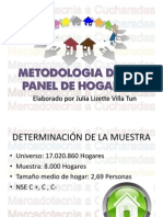 Metodologia de Un Panel de Hogares