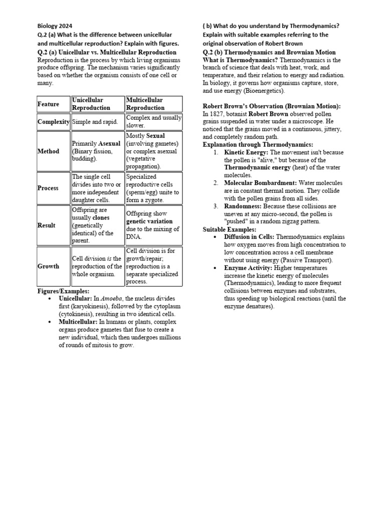 Biology 2024 | PDF | Messenger Rna | Dna