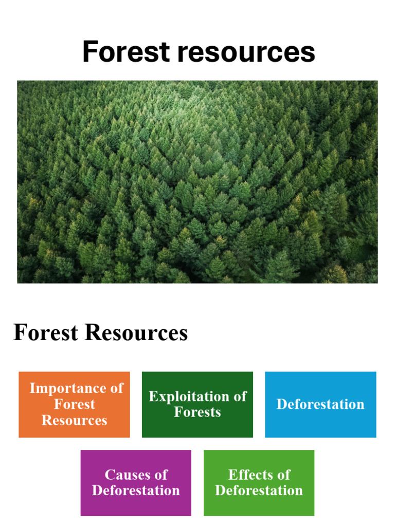 Module I Forest Resources Importance of Forest Deforestation | PDF