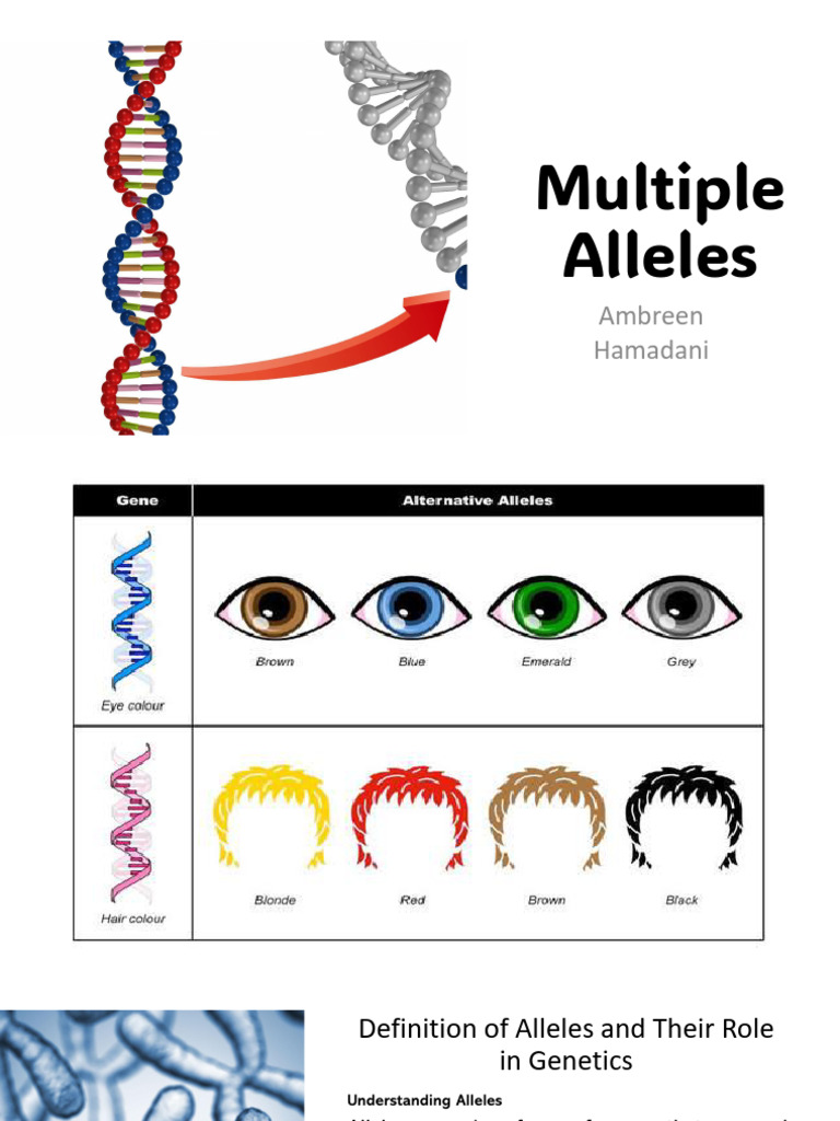 Multiple Alleles | PDF