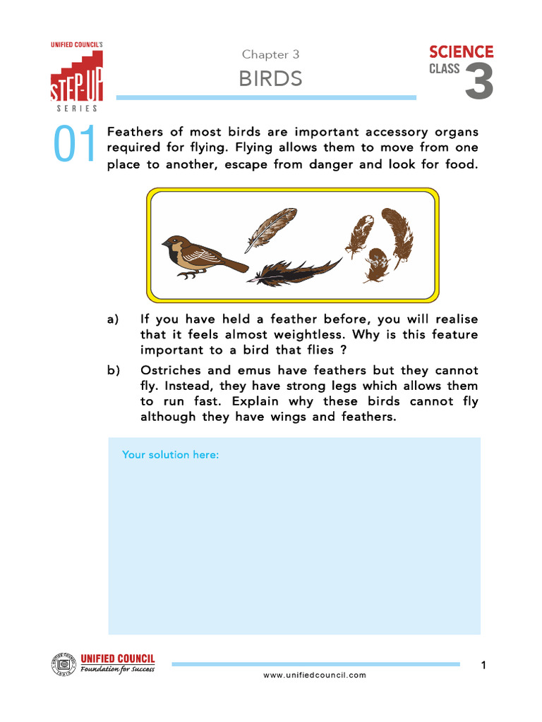 Chapter-3 Stepup Science Class 3 Qp | PDF | Birds | Ornithology