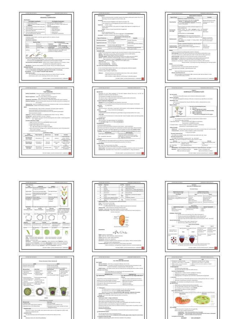 Hsslive Xi Botany Notes by Sunil Kumar | PDF | Leaf | Fungus