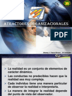 ATRACTORES ORGANIZACIONALES