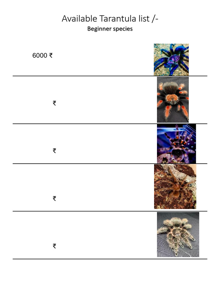 Tarantula List | PDF | Arthropods | Spider