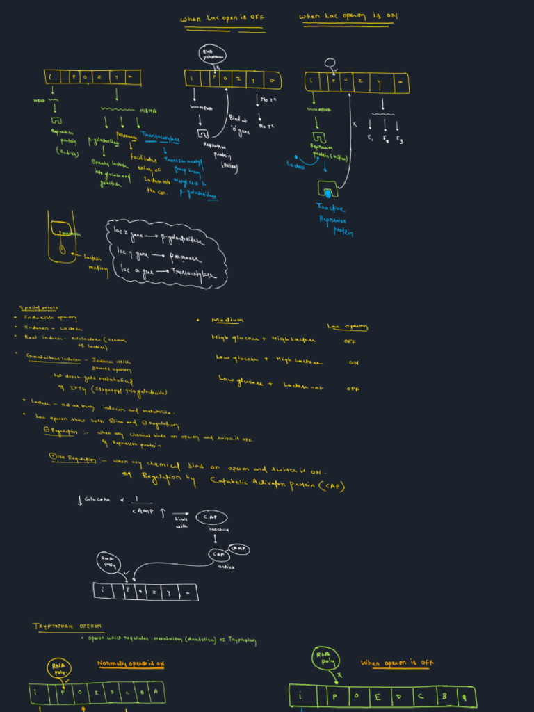 PCR | PDF