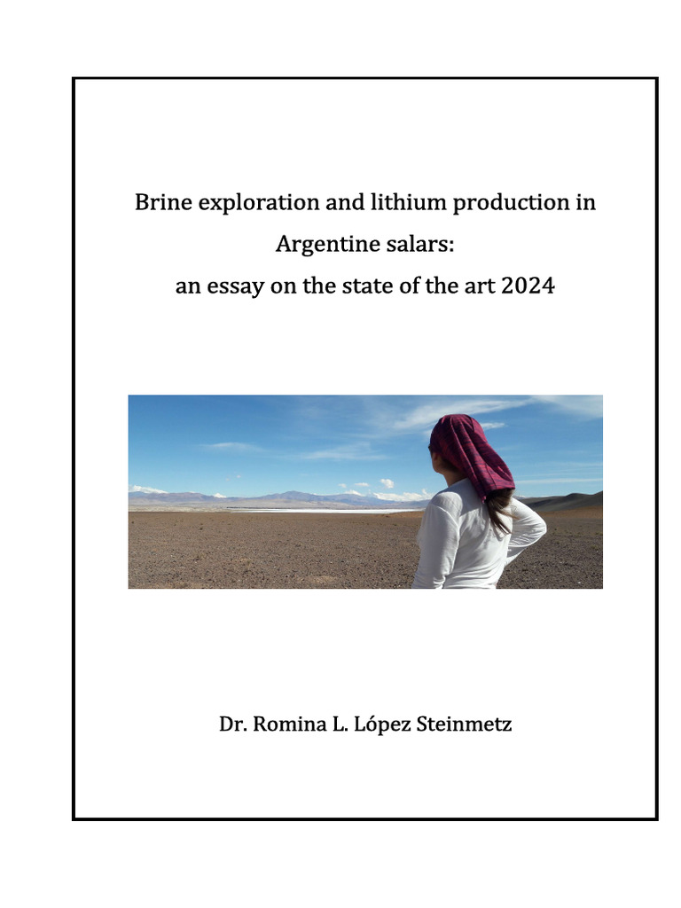 Book of Lithium 2024 - Lopez Steinmetz RL | PDF | Lithium | Earth Sciences