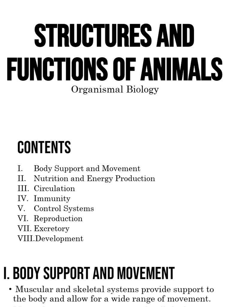 Structures and Functions of Animals | PDF | Immune System | Skeleton