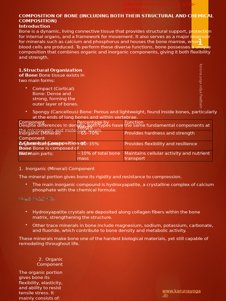 Composition of Bone (Including Both Their Structural and Chemical ...