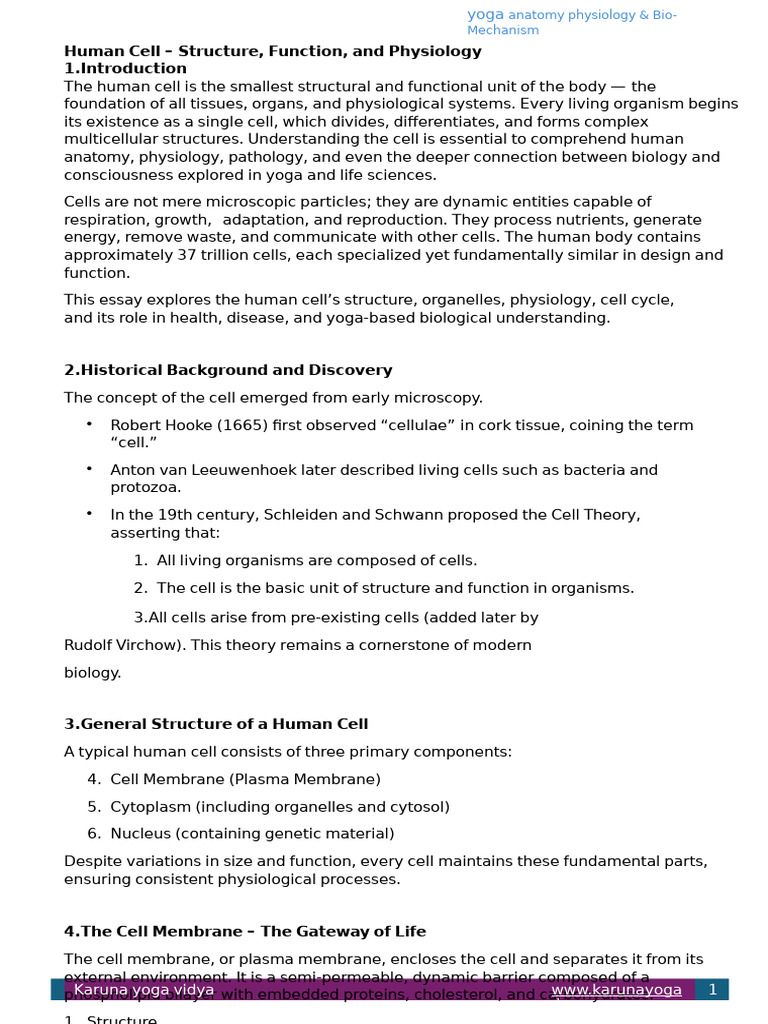 Human Cell - Structure, Function, and Physiology | PDF | Endoplasmic ...