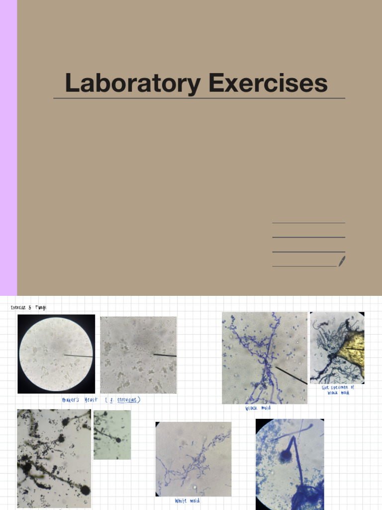 Laboratory Exercises | PDF | Parasitology
