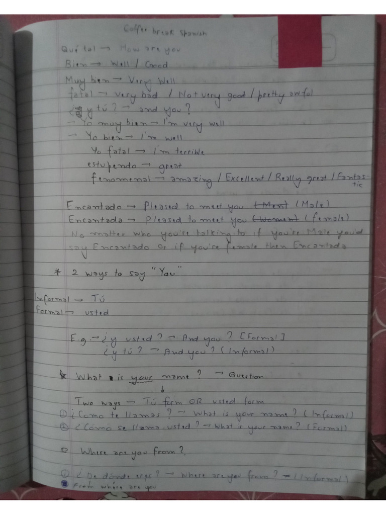 Spanish Notes 1 | PDF