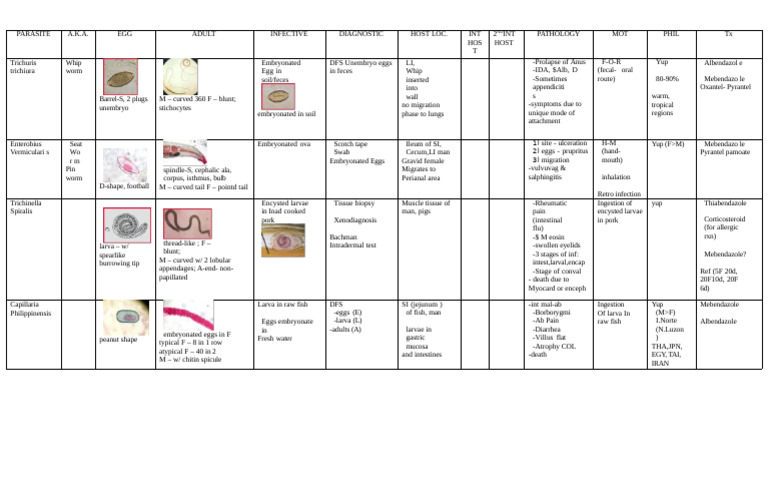 TABLE 1 | PDF | Microbiology | Medical Specialties