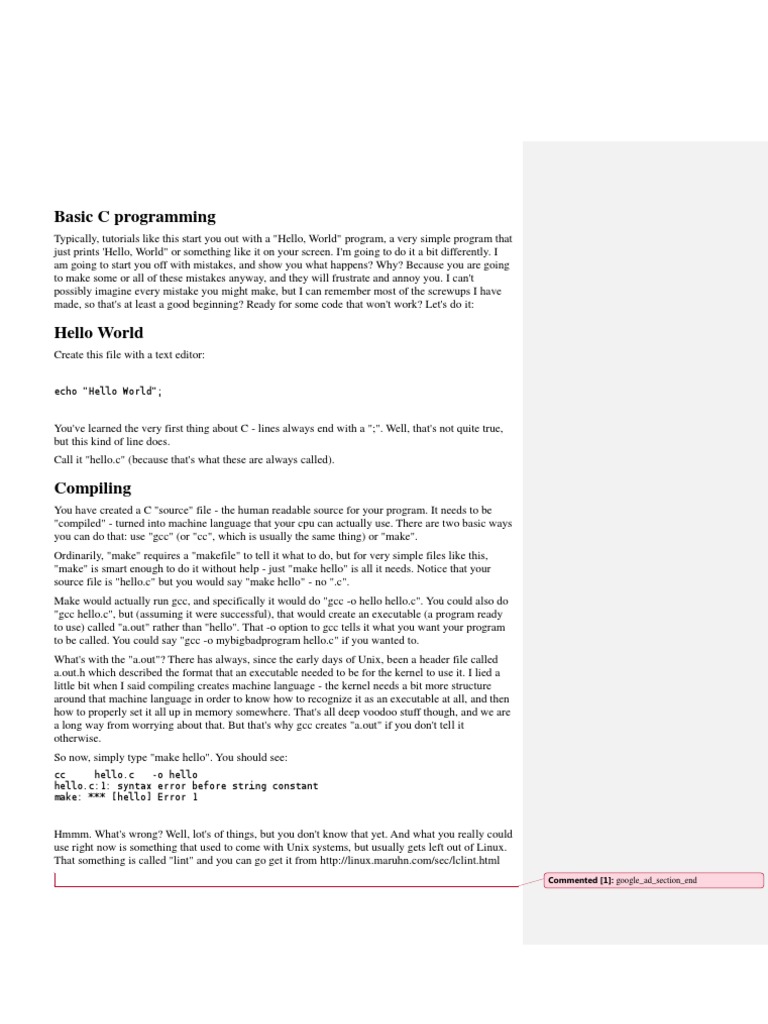 Basic C Programming: Echo 