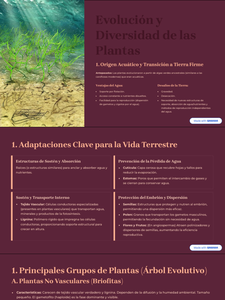 Evolucion y Diversidad de Las Plantas | PDF | Plantas | Reproducción sexual