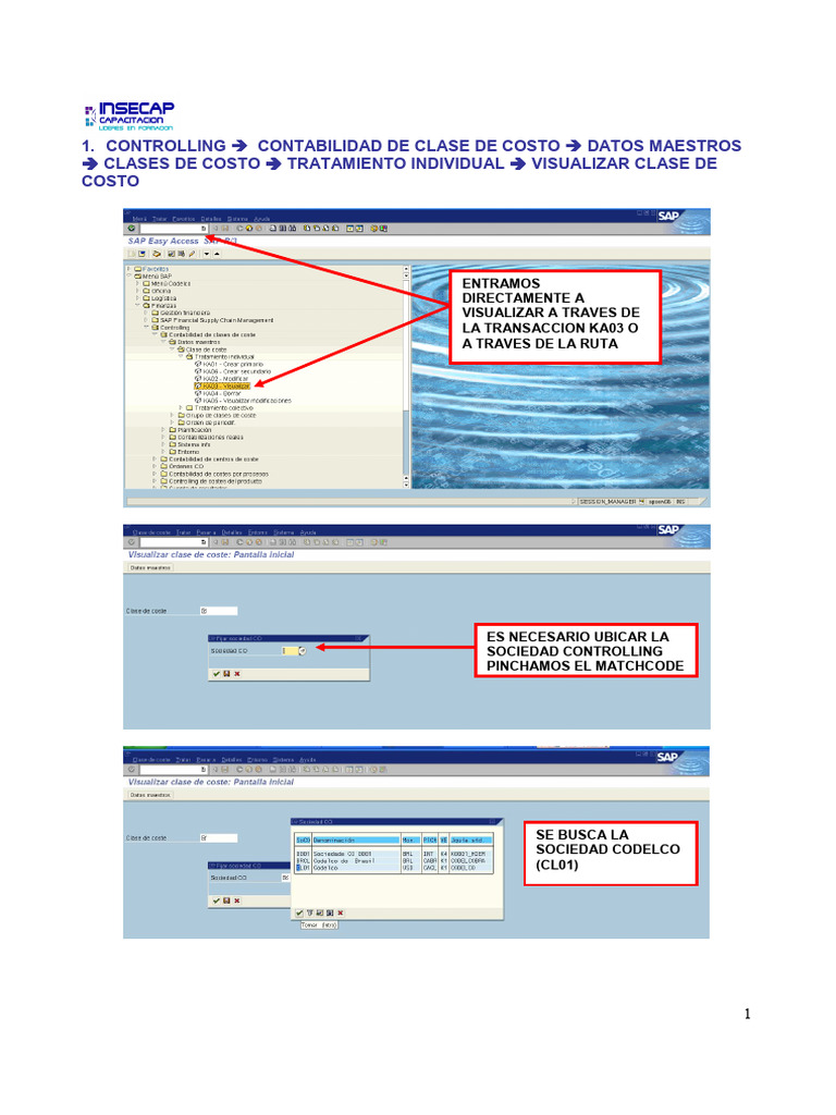 Manual Fico | PDF