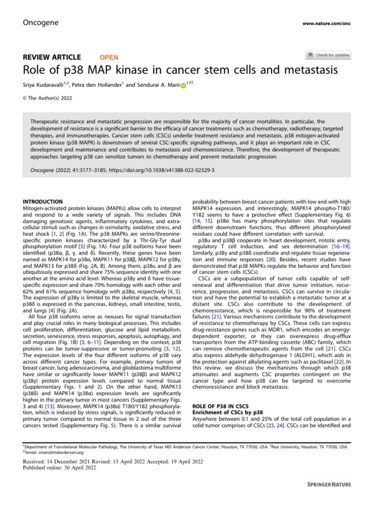 Role of p38 MAP Kinase in Cancer Stem Cells and Metastasis: Oncogene ...
