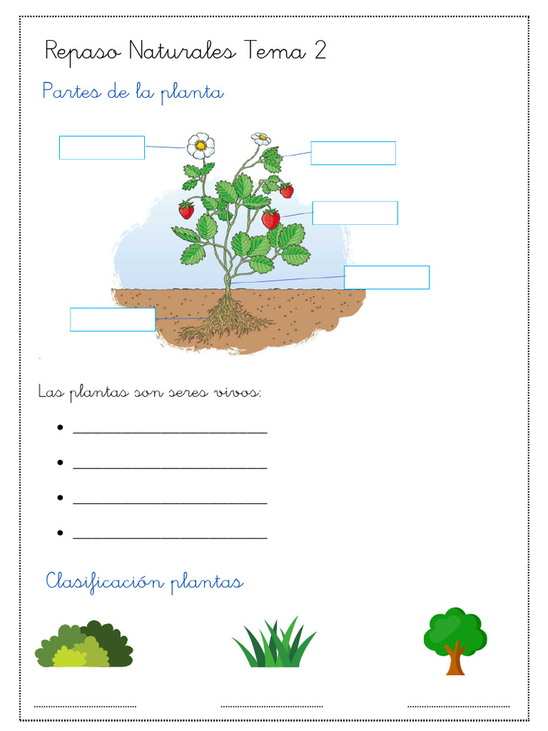 Repaso Naturales Tema 2 (2) | PDF