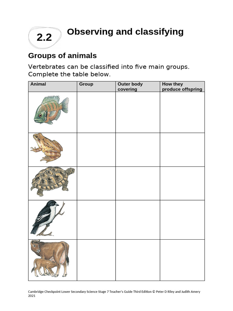 Worksheet 2.2- Observing and Classifying Unit 2 | PDF